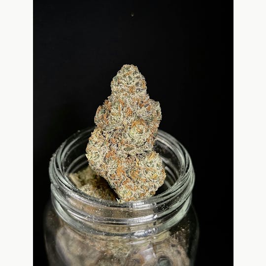 Bloom County - Agent Orange - 3.5g Flower - 1