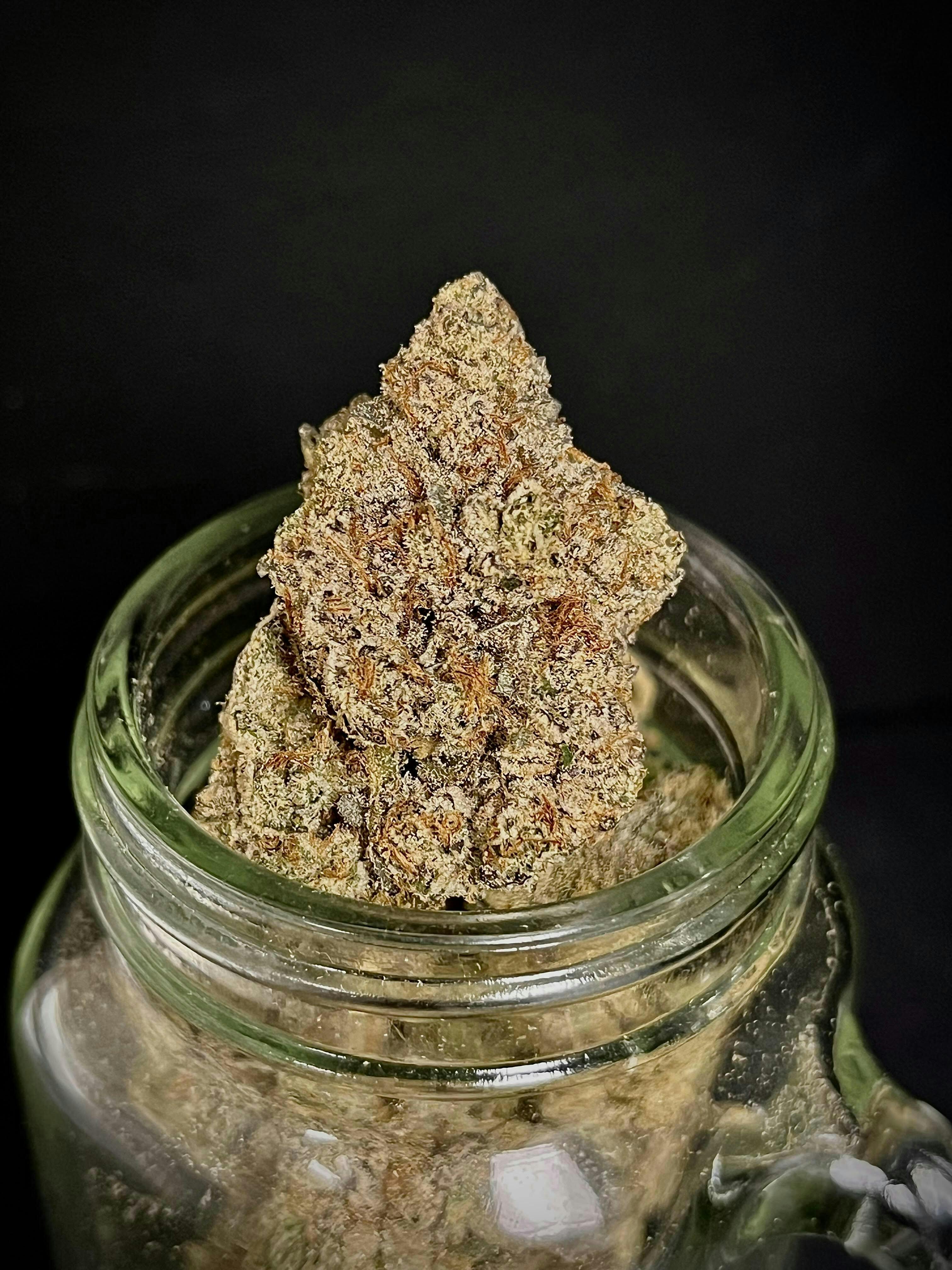 Bloom County - Citral Skunk - 3.5g Flower - 1