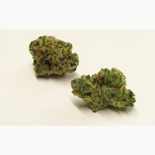 Bloom County - Peach Maraschino - Bulk Flower - 1