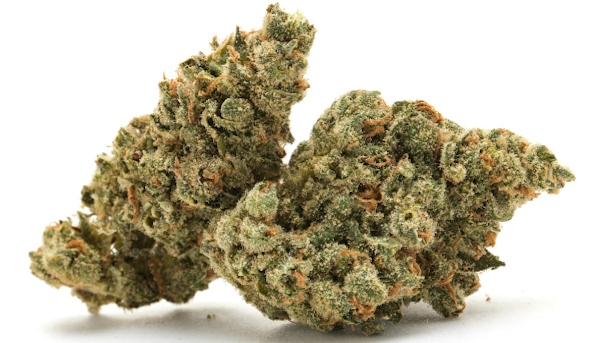 Bloom County - Midnight Moonlight - 3.5g Flower - 1