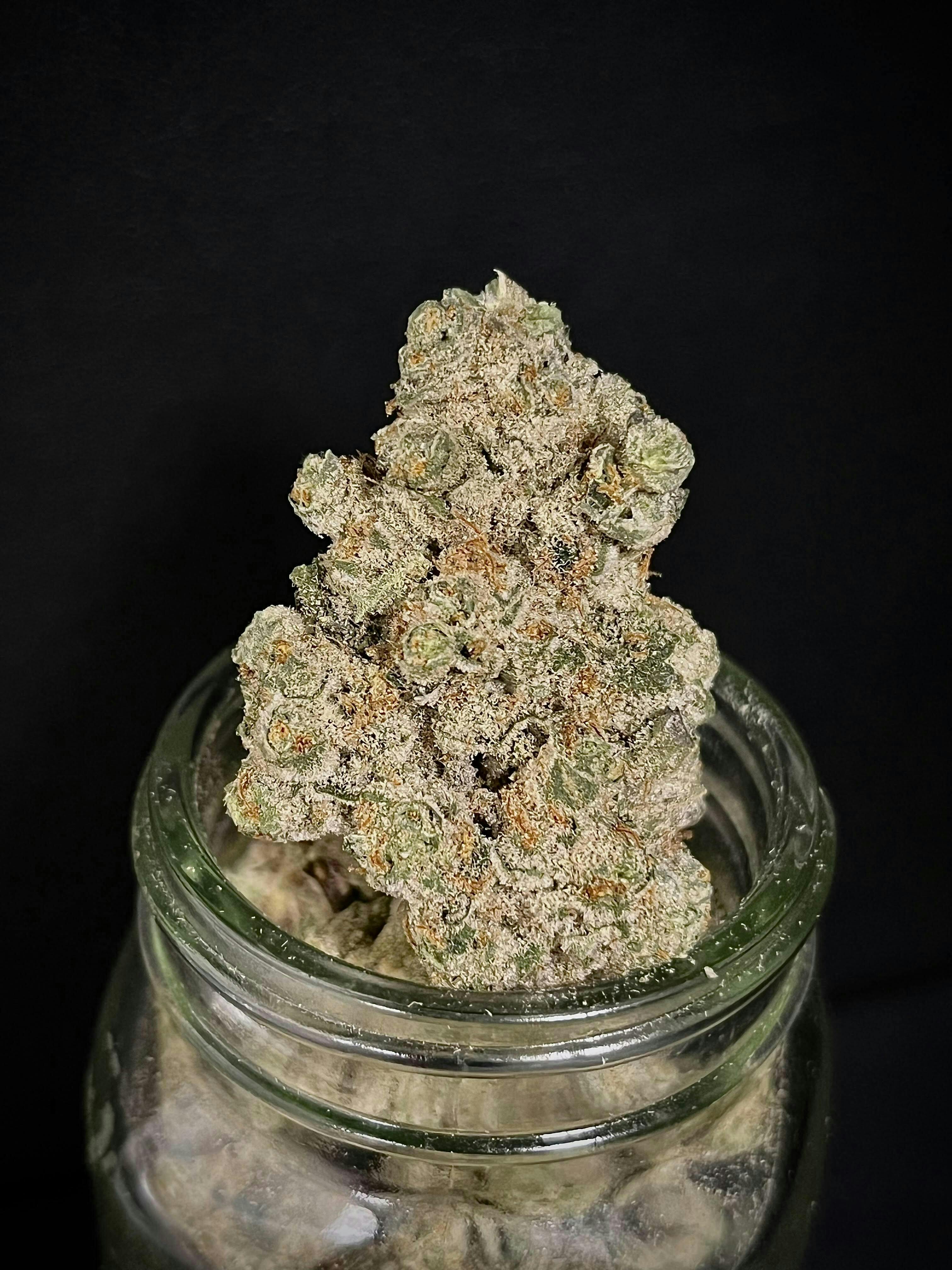 Bloom County - Spiced Blackberry - Bulk Flower - 1