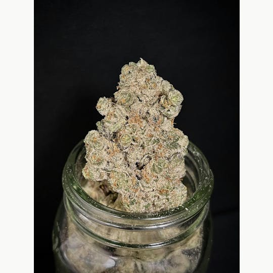 Bloom County - Spiced Blackberry - 3.5g Flower - 1