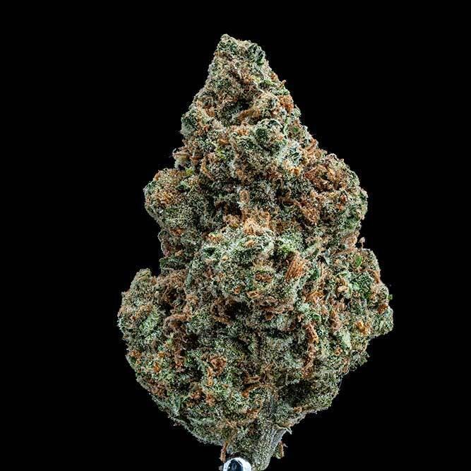 Bloom County - Super Lemon Haze - Bulk Flower - 1