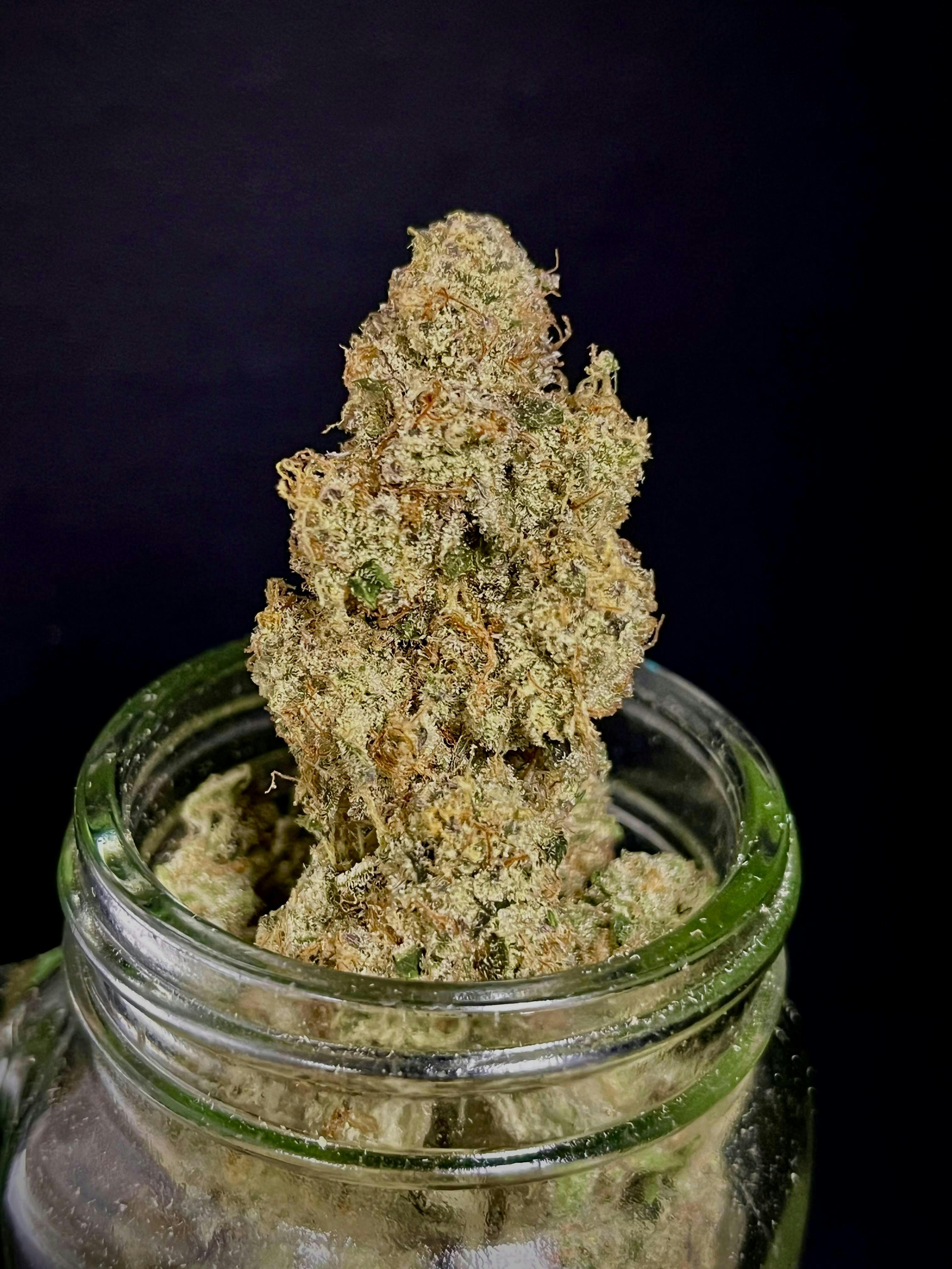 Bloom County - Super Silver Haze - 14g Flower - 1