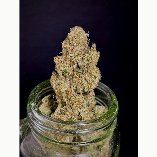Bloom County - Super Silver Haze - 14g Flower - 1