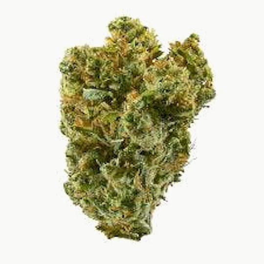 Bloom County - Super Silver Haze - Bulk Flower - 1