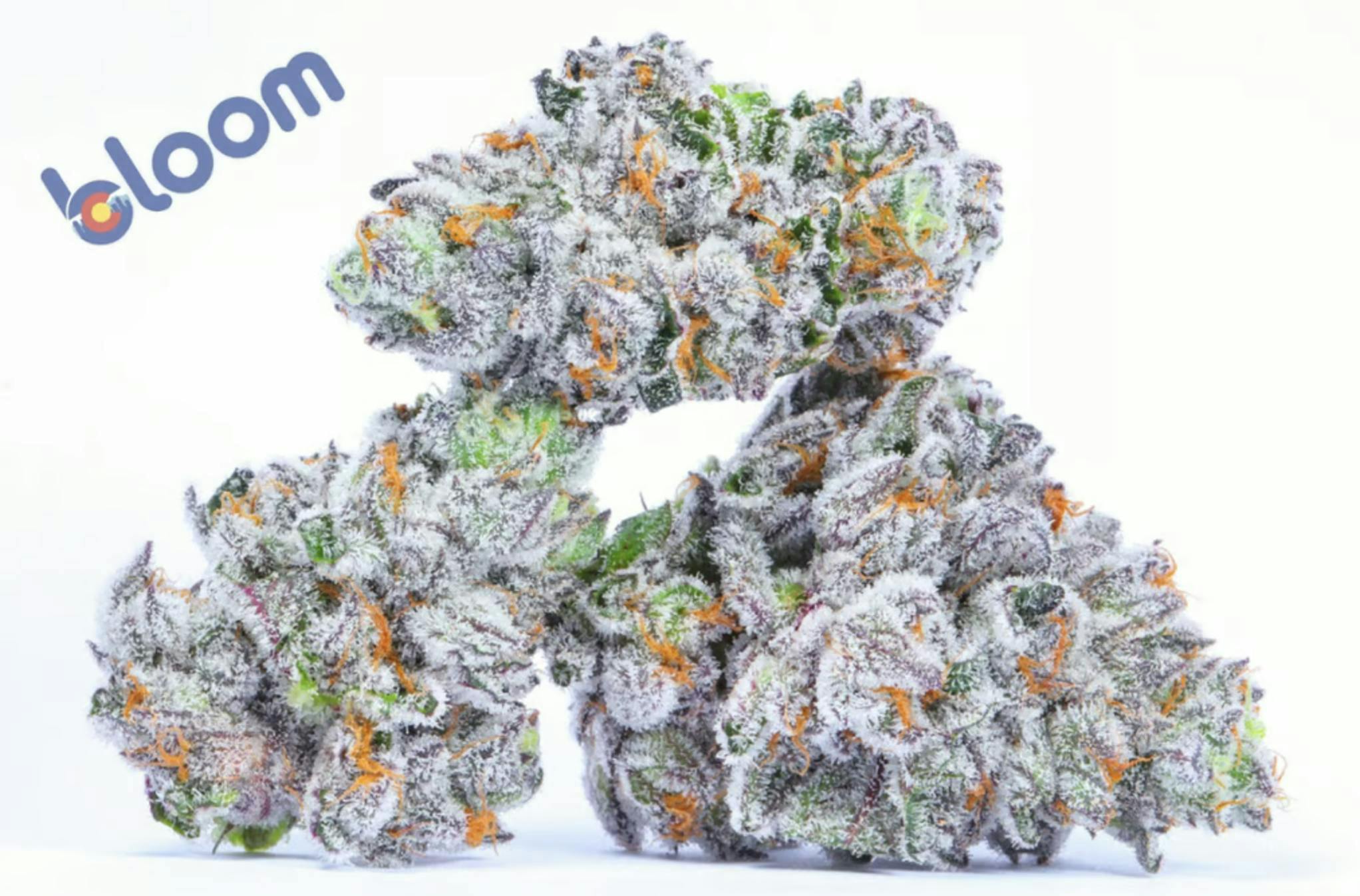 Bloom County - Apple Mints - 14g Flower - 1