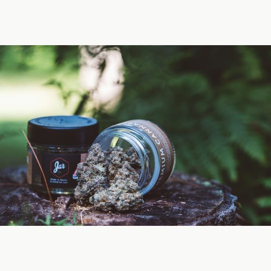JAR Cannabis Co. - Double Solo Burger #7 by JAR Cannabis Co. - 1