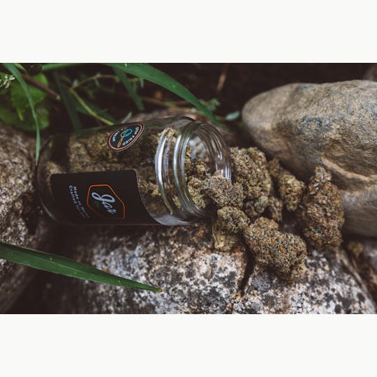 JAR Cannabis Co. - Deep Fried Ice Cream by JAR Cannabis Co. - 1