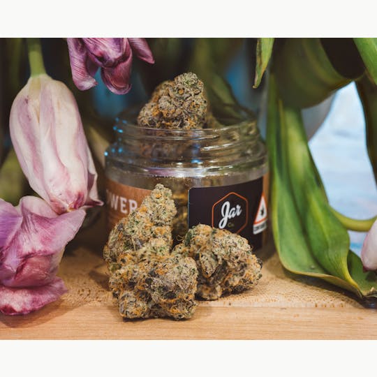 JAR Cannabis Co. - Mule Fuel by JAR Cannabis Co. - 1