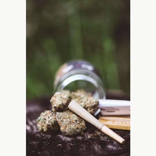 JAR Cannabis Co. - Ice Cream Mints by JAR Cannabis Co. - 1