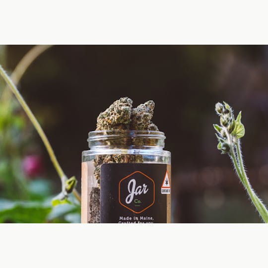 JAR Cannabis Co. - Guava Mints by JAR Cannabis Co. - 1