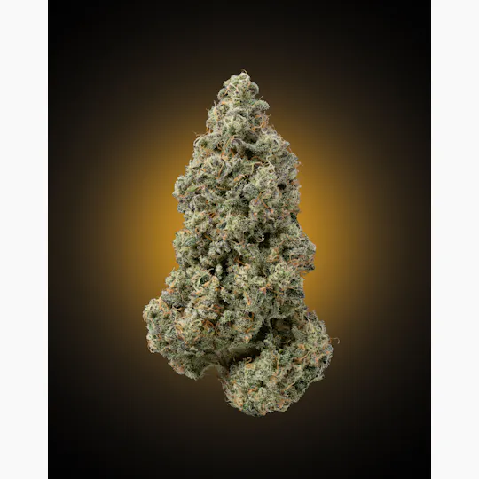 Faded Cannabis Company - Blueberry Sugar - (Blueberry Frosting X Grape Cream Cake) - 1