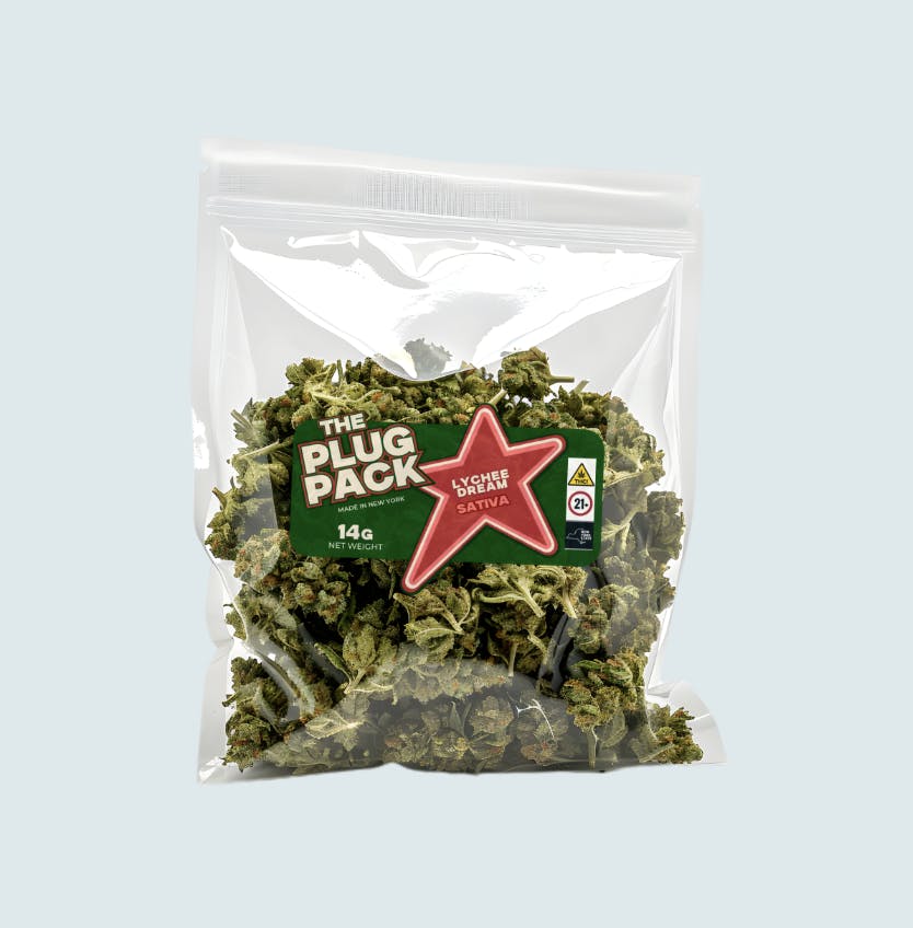 The Plug Pack - Lychee Dream 14g - 1