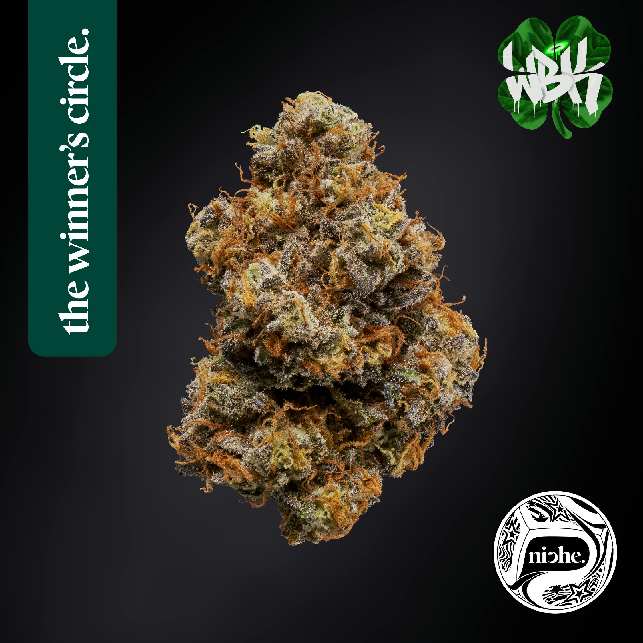 Niche - White Boy Kev - Irish Springz | 3.5g - 1