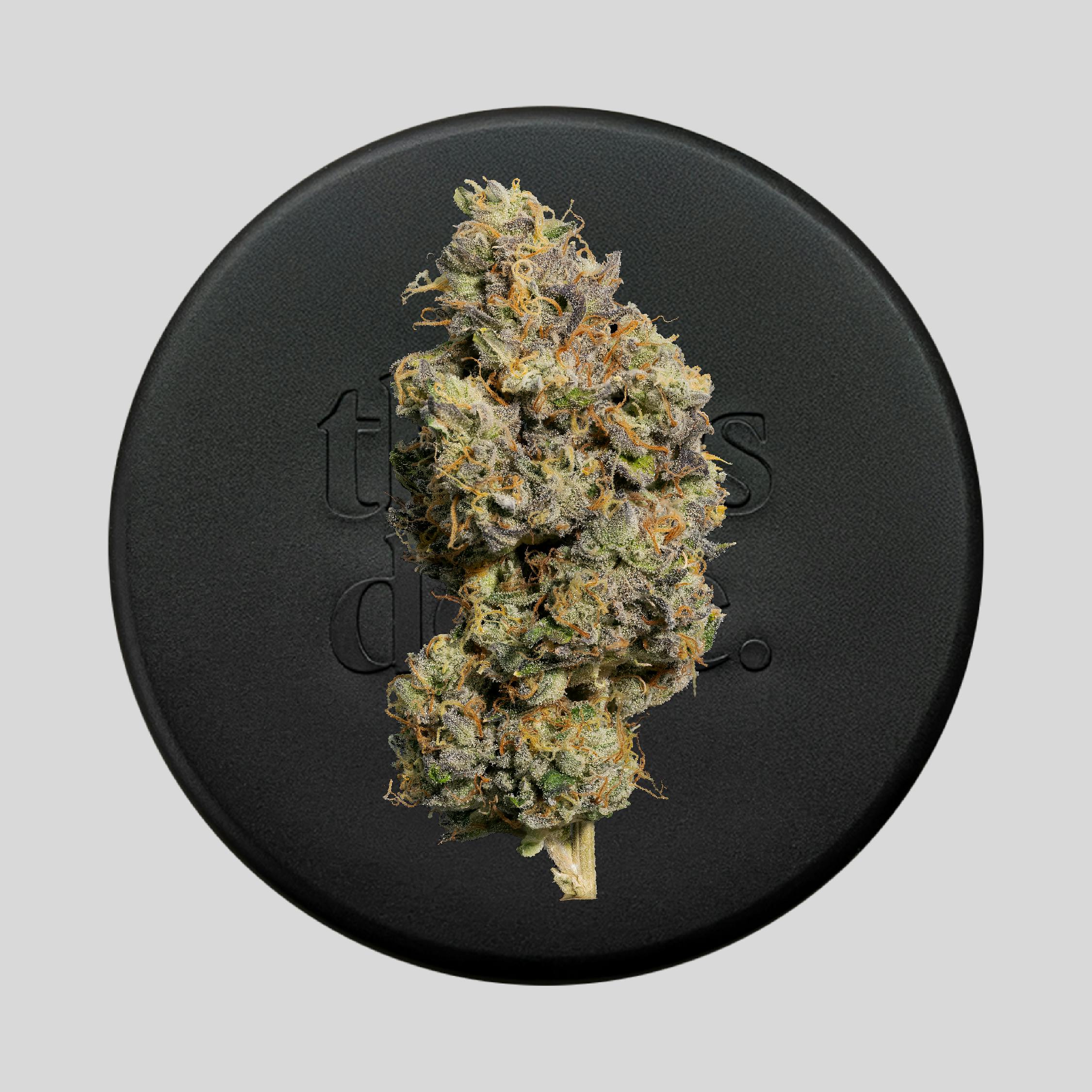 Niche - Oishii III | 3.5g - 1