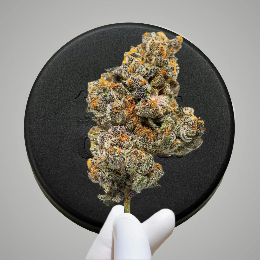 Niche - Zkittles Marker #8 | 3.5g - 1