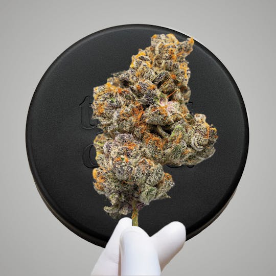 Niche - Zkittles Marker #8 | 3.5g - 1
