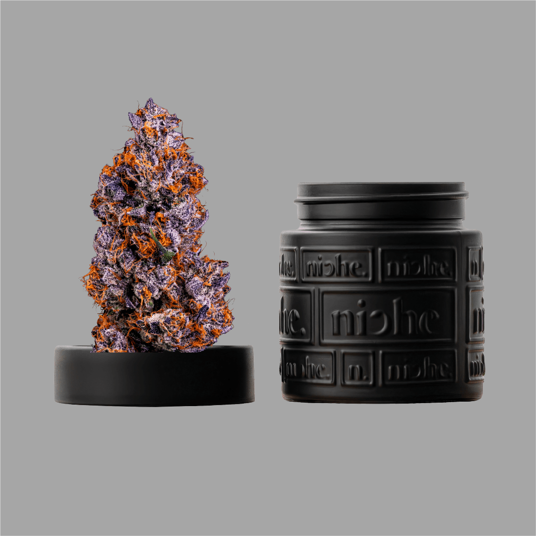 Niche - Ztopia | 3.5g - 1