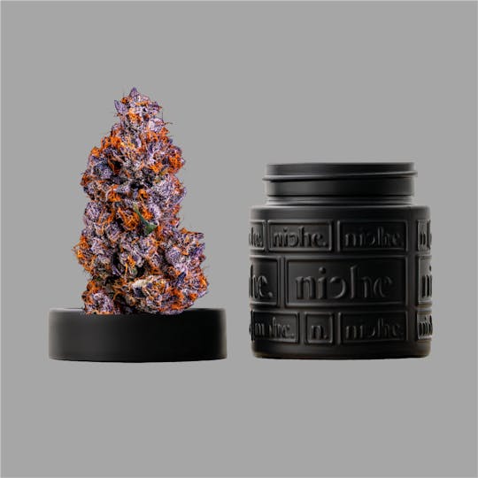 Niche - Ztopia | 3.5g - 1