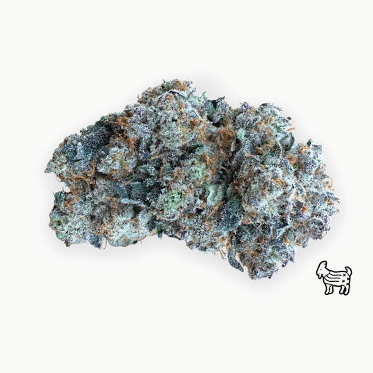 The Laughing Goat - Cadillac Rainbow Flower - 1