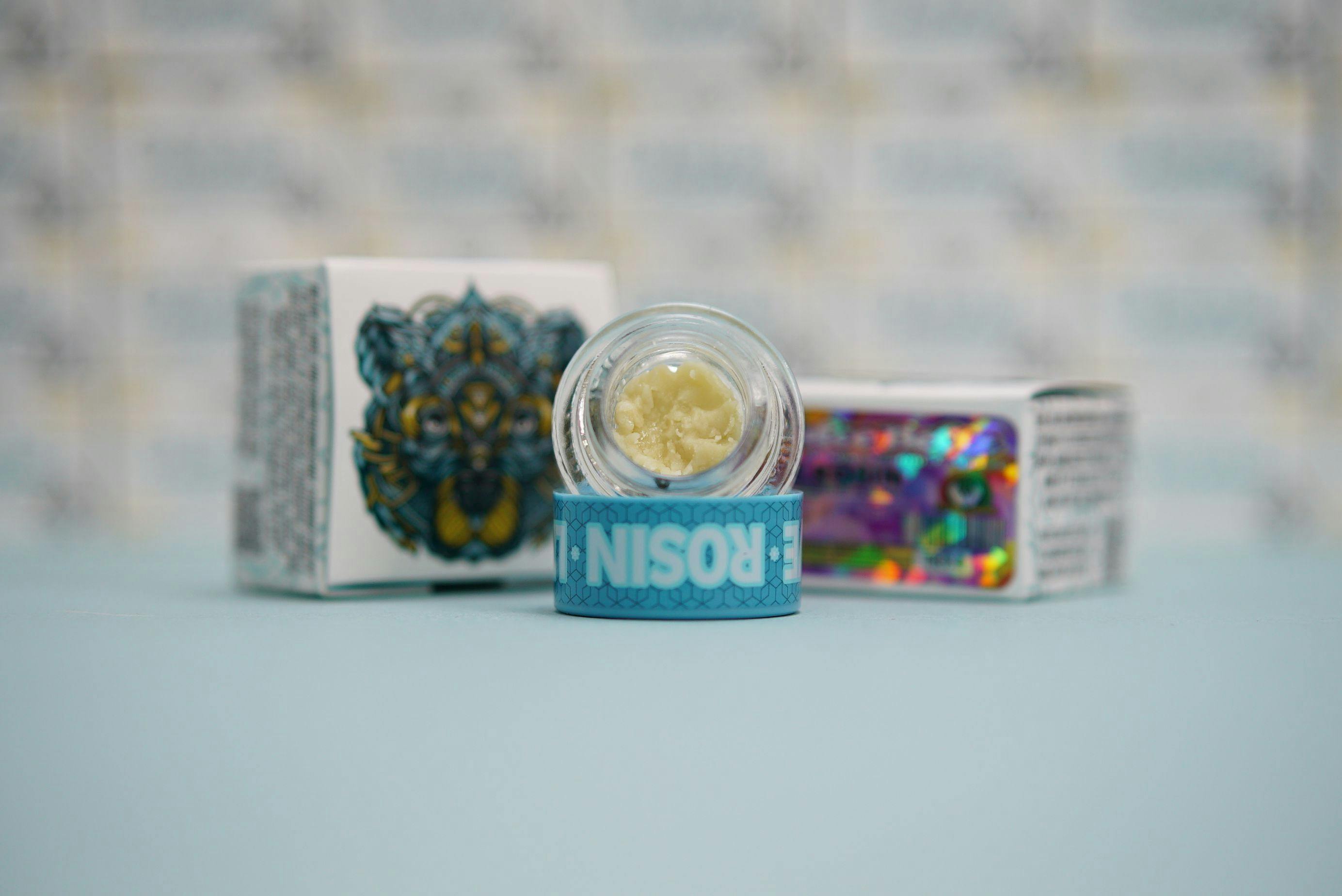 Bear Labs - Dulce Beltz - 1