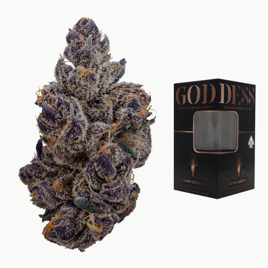 Goddess - Gasnana 3.5G - 1