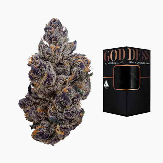 Goddess - Gasnana 3.5G - 1