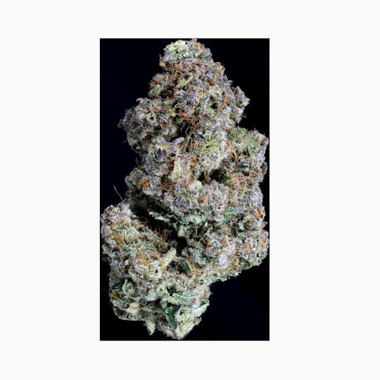 Springtime - Gorilla Cream 3.5g Flower - 1