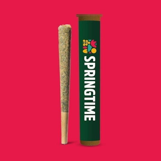 Springtime - Jet Fuel OG 1g Preroll - 1