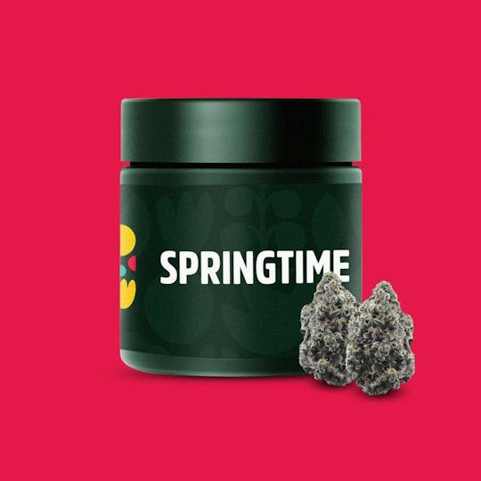 Springtime - Layer Cake 3.5g Flower - 1