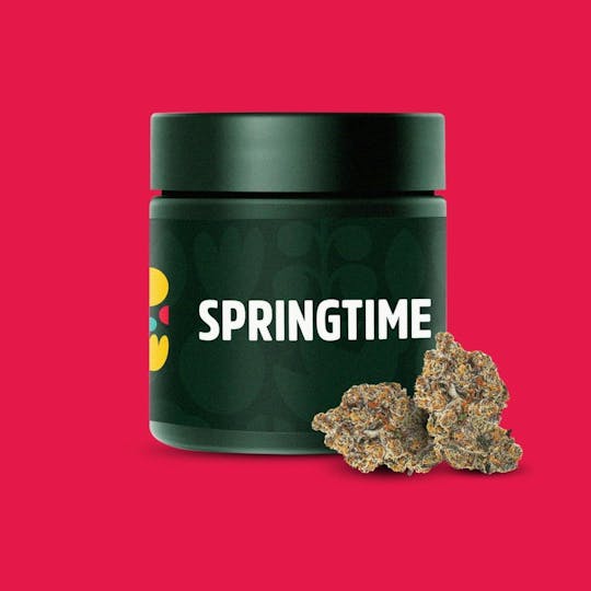 Springtime - California Octane 3.5g Flower - 1