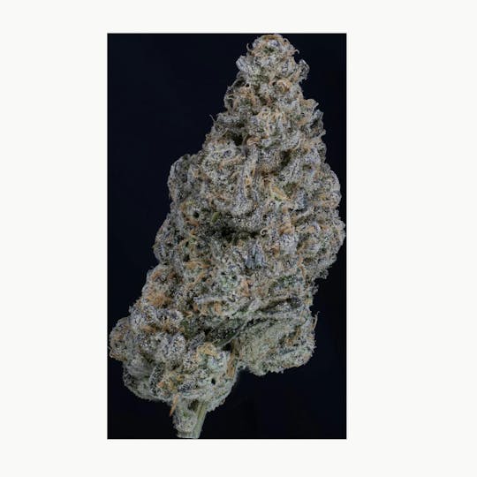 Springtime - Devi 11 #1 3.5g Flower - 1