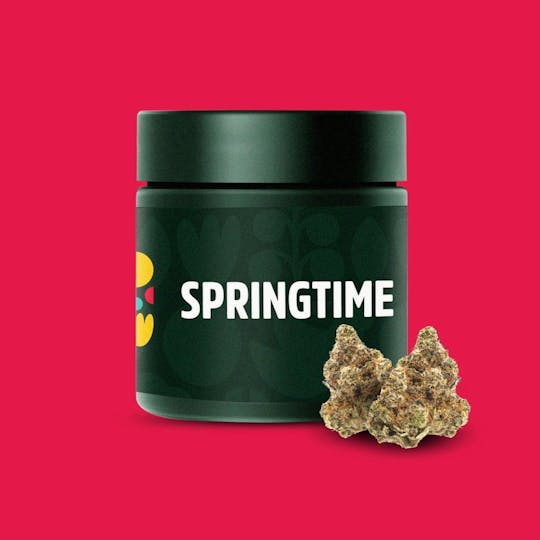 Springtime - Banana Kush 3.5g Flower - 1