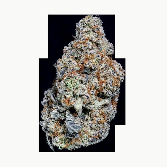Springtime - Glitter Bomb 3.5g Flower - 1