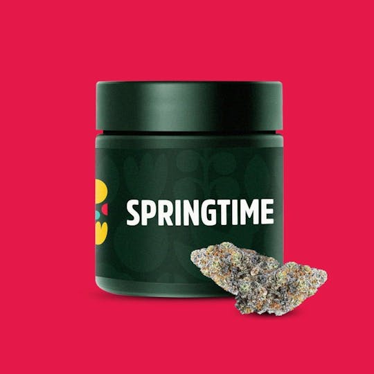 Springtime - Curacao 3.5g Flower - 1