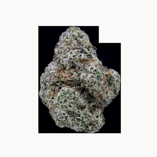 Springtime - Whiplash 3.5g Flower - 1