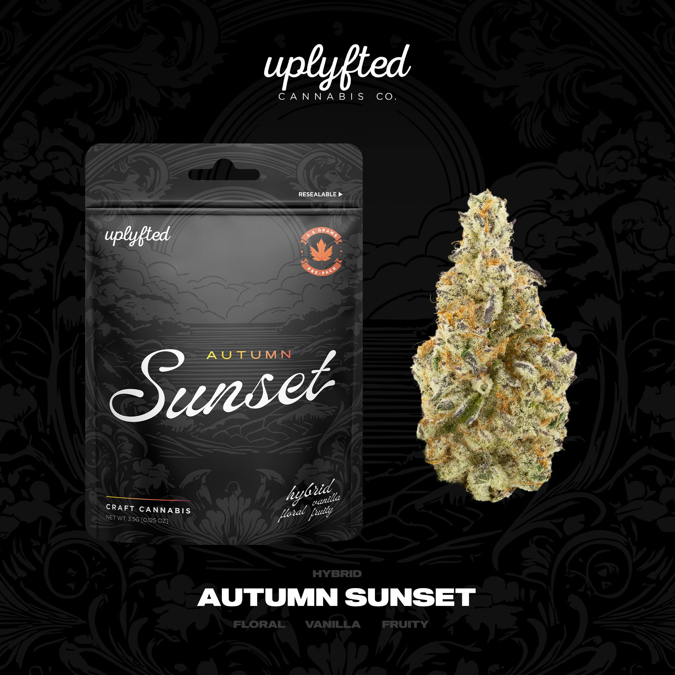 Uplyfted Cannabis Co - Autumn Sunset 1g Pre-roll - Indoor A-Nug Flower - No Shake or Trim - 1