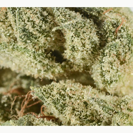 Bedford Grow - Bedford Grow | Highwayman | Smalls | 7G - 1