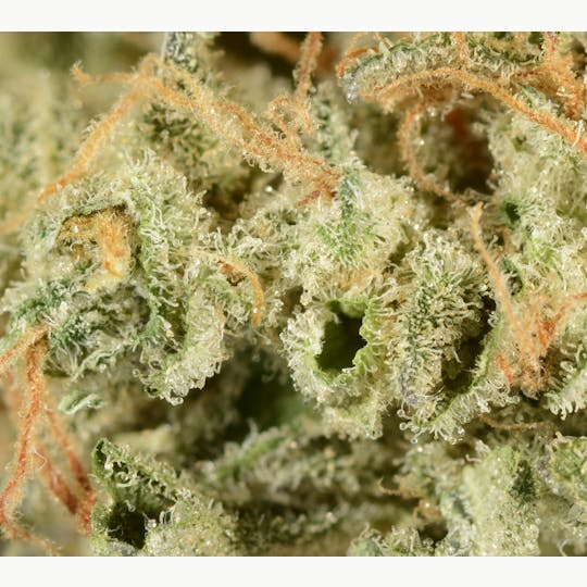 Bedford Grow - Bedford Grow | Chunk Dawg | Smalls | 7G - 1
