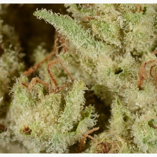 Bedford Grow - Bedford Grow | Headwrecker | Smalls | 7G - 1