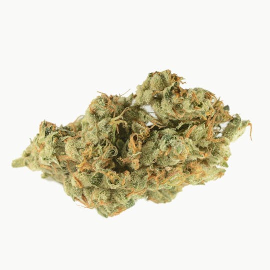 Bedford Grow - Bedford Grow | Columbia Afghan | Smalls | 7G - 1