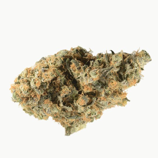 Bedford Grow - Bedford Grow | Bedford Blue Dream | Smalls | 7G - 1