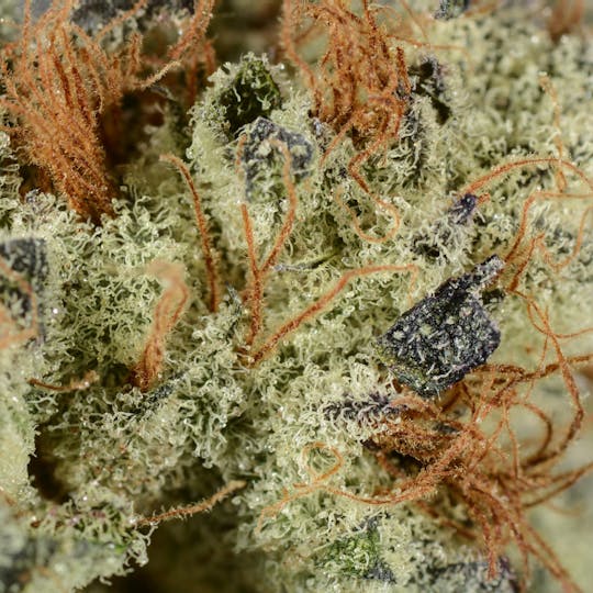 Bedford Grow - Bedford Grow | Lollypop | Smalls | 7G - 1