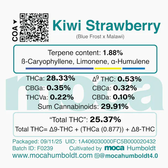 MOCA Humboldt - MOCA Flowers - 1/8th Mylar Bag - Kiwi Strawberry - 1