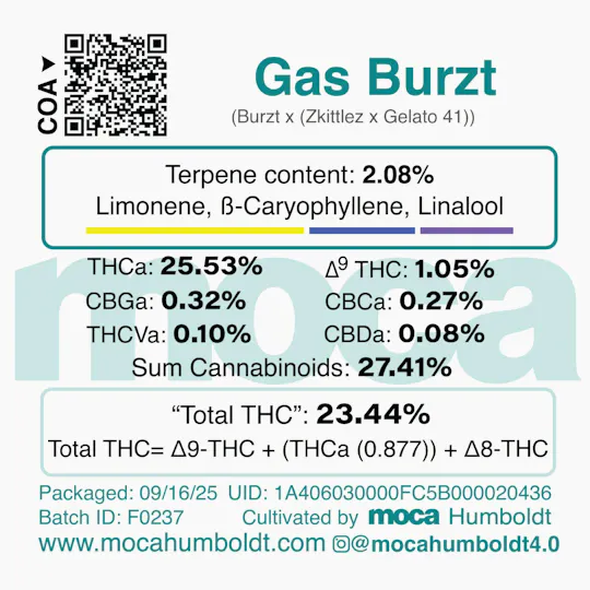 MOCA Humboldt - MOCA Flowers - 1/8th Mylar Bag - Gas Burzt - 1