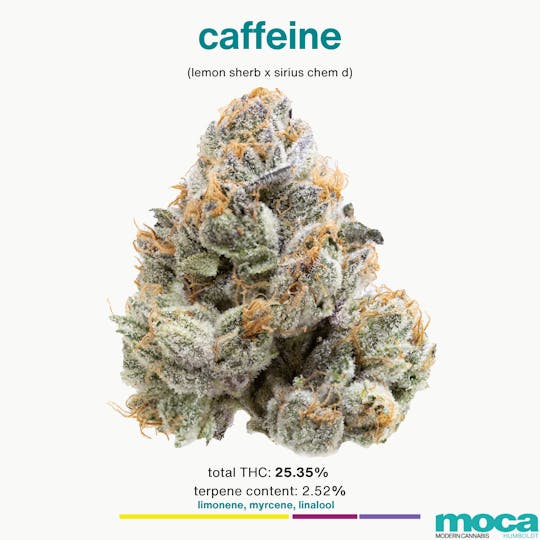 MOCA Humboldt - MOCA Flowers - 1/8th Jar - Caffeine - 1