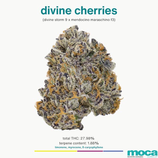 MOCA Humboldt - MOCA Flowers - 1g Smalls - Divine Cherries - 1