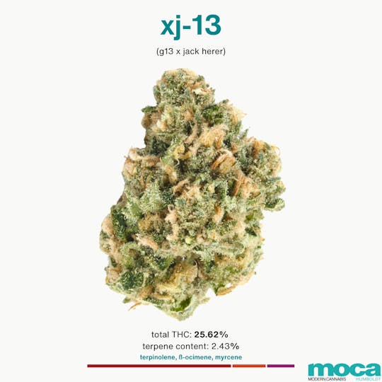 MOCA Humboldt - MOCA Flowers - 1g Smalls - XJ-13 - 1
