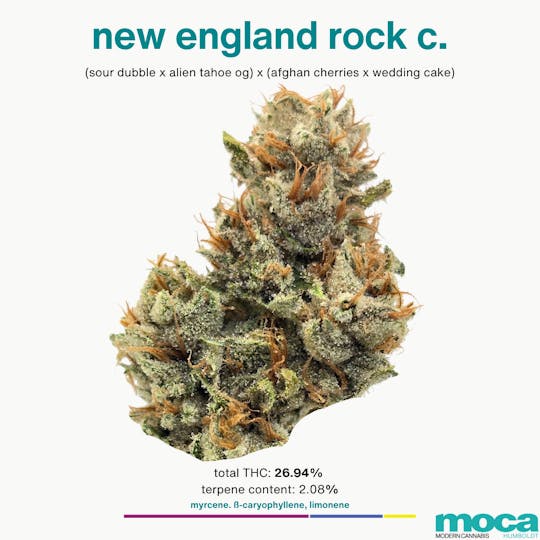 MOCA Humboldt - MOCA Flowers - 1g Smalls - New England Rock C. - 1